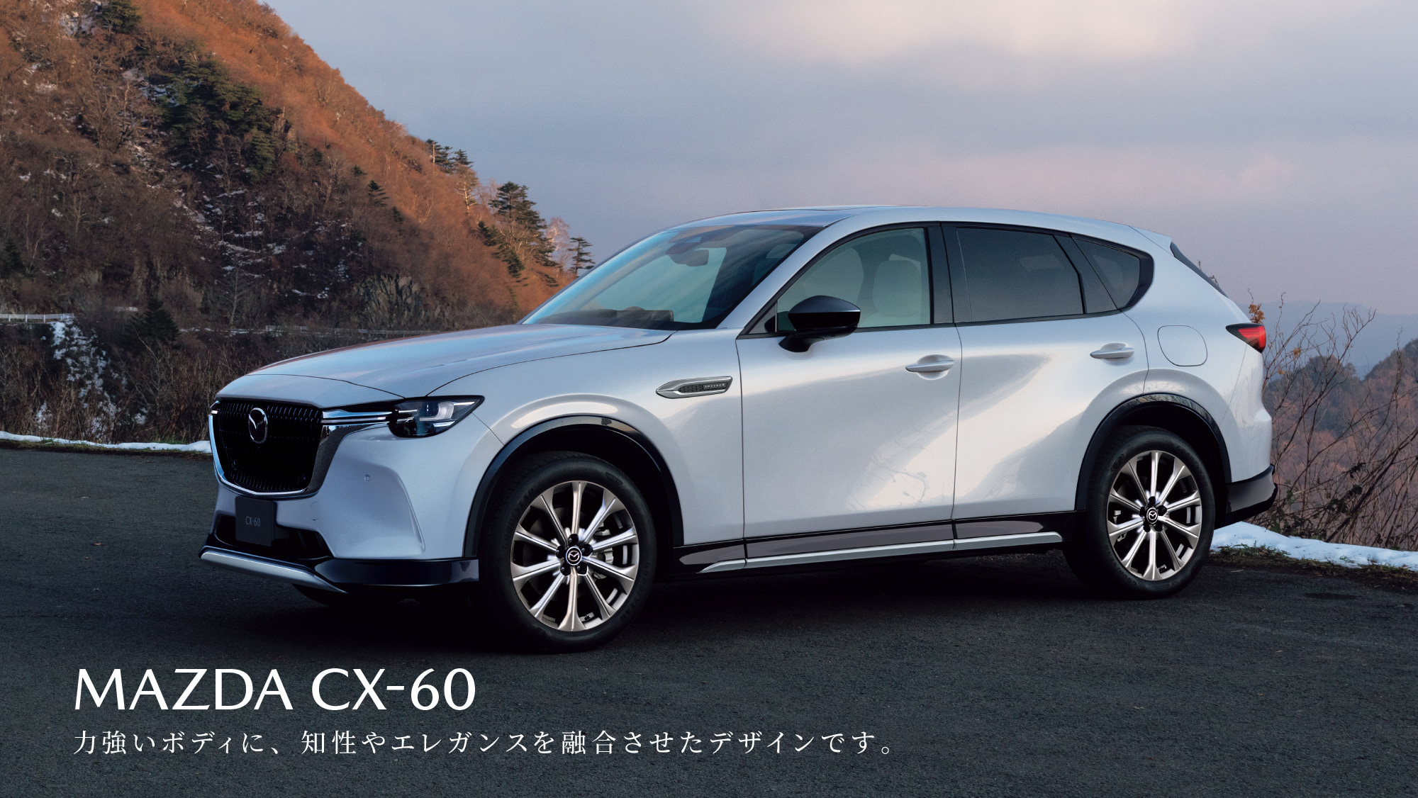 CX-60